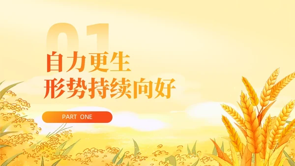 大学生形势与政策保障粮食安全的中国策ppt课件党建