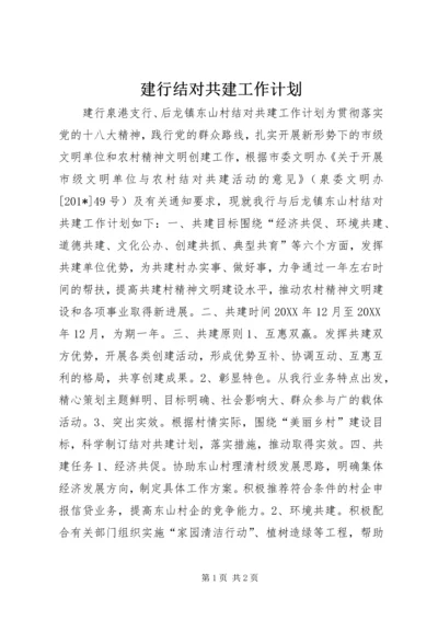 建行结对共建工作计划.docx