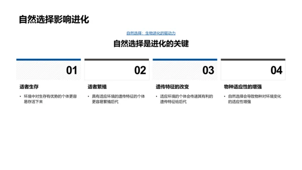 生物进化论讲座PPT模板