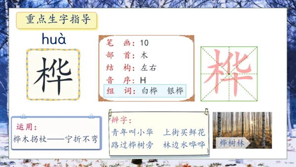 【核心素养】部编版语文四年级下册-11.白桦 第1课时（课件）