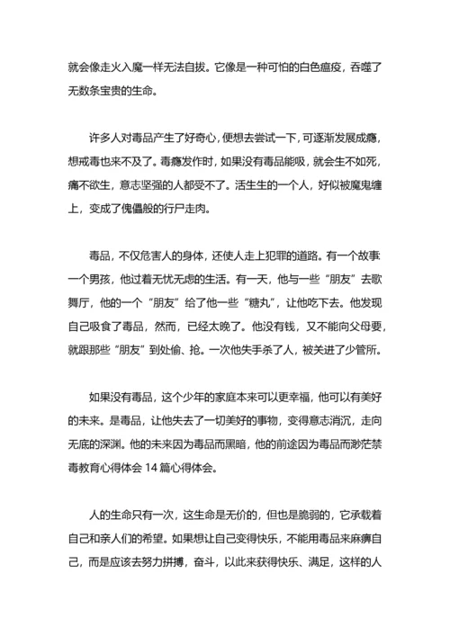 禁毒教育宣传心得体会示例范文.docx