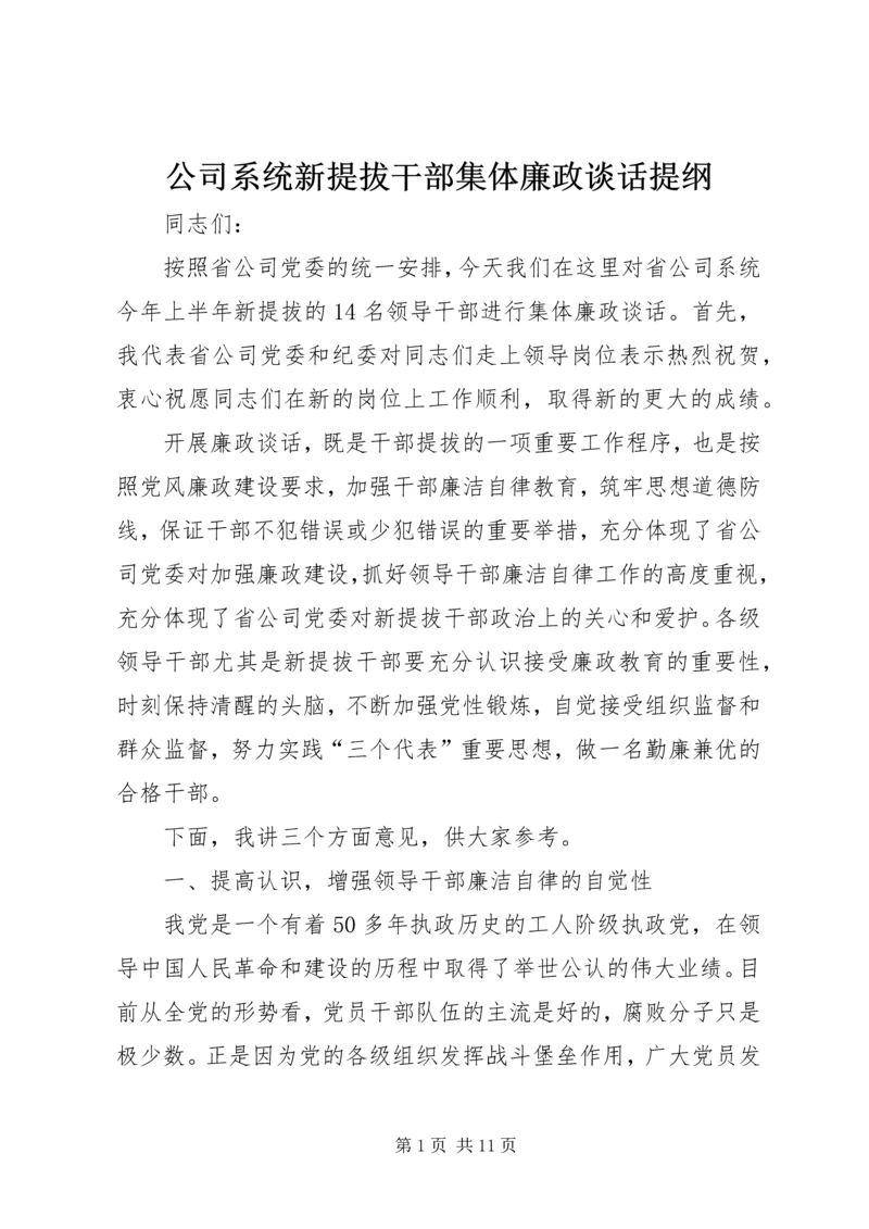 公司系统新提拔干部集体廉政谈话提纲.docx