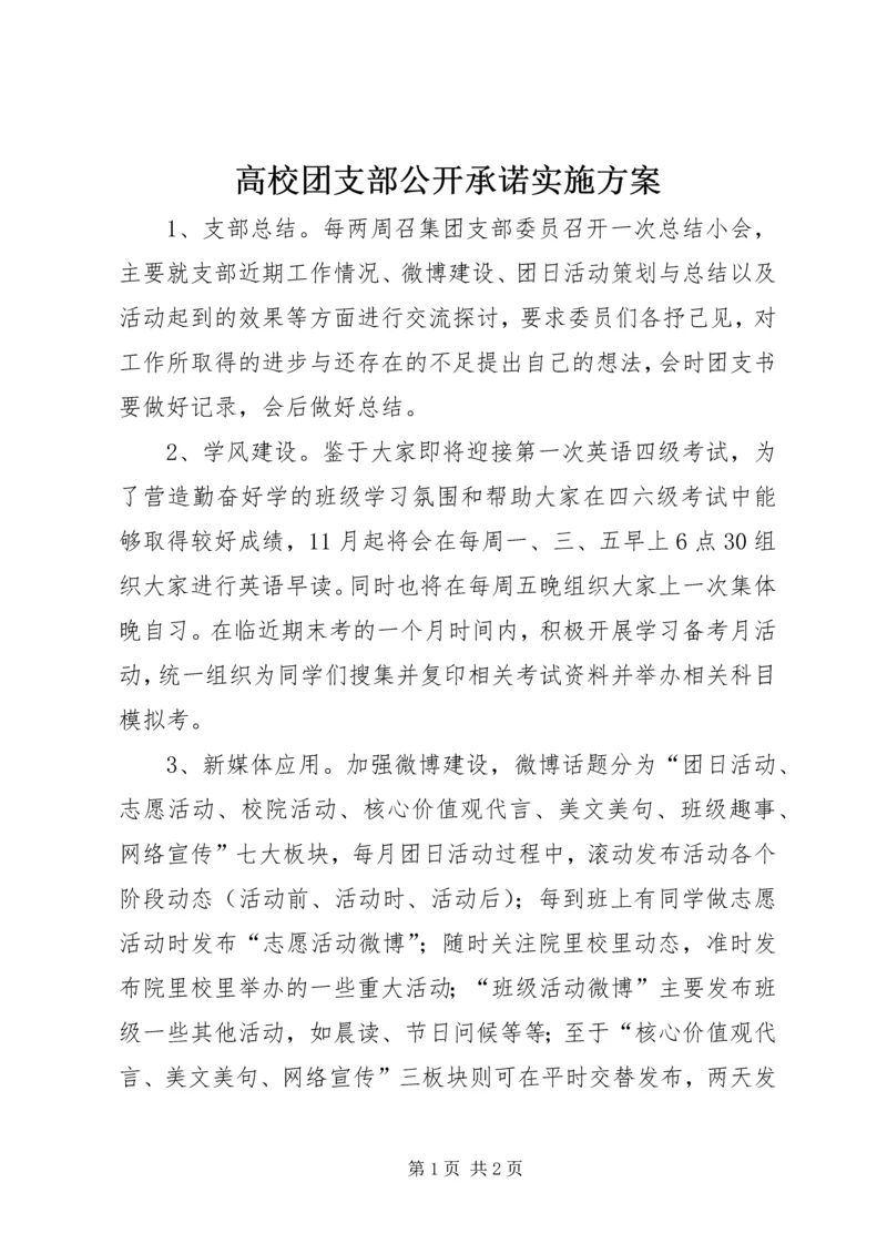 高校团支部公开承诺实施方案.docx