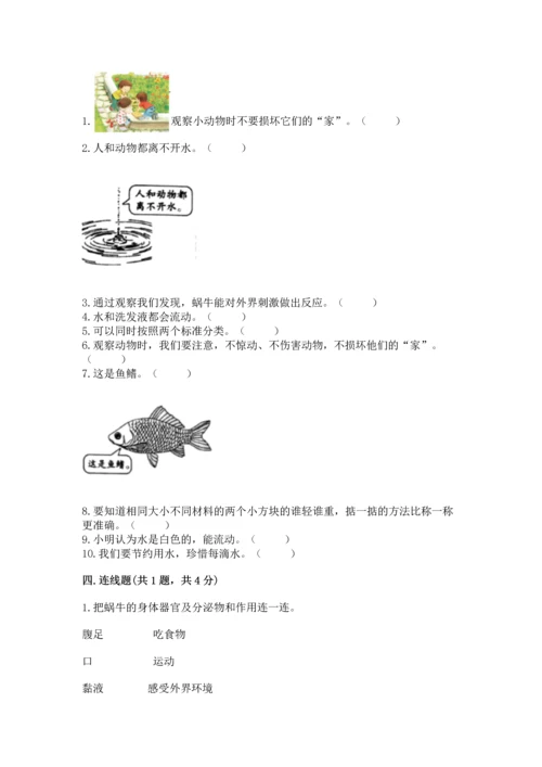 教科版一年级下册科学期末测试卷附参考答案（基础题）.docx