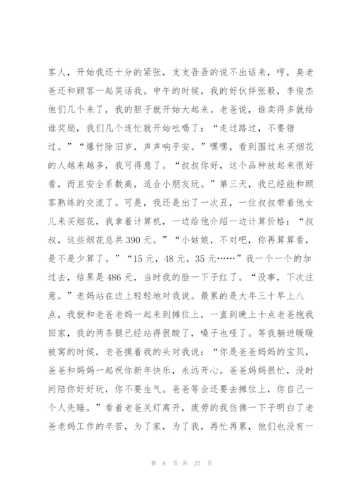 学生的寒假计划怎么写15篇.docx