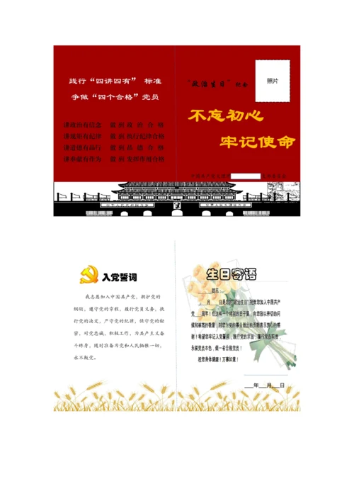 政治生日活动实施专业方案.docx