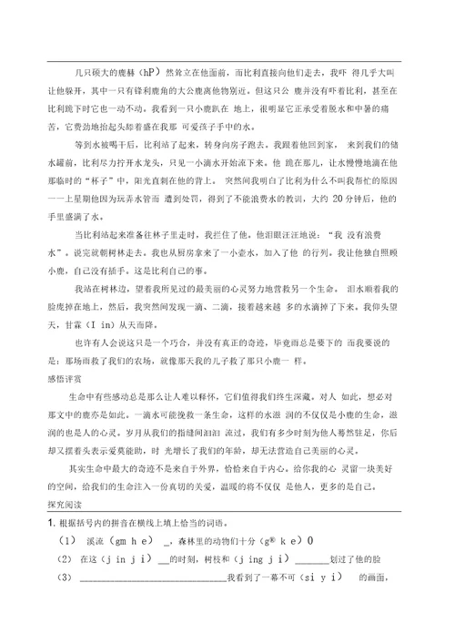阅读黑马五年级