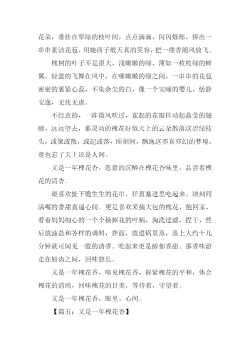 又是一年槐花香作文.docx