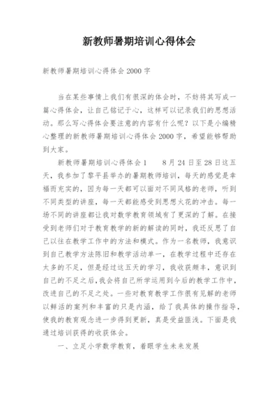 新教师暑期培训心得体会_1.docx