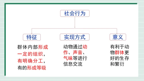 人教版生物八上 5.2.3动物社会行为(共21张PPT)