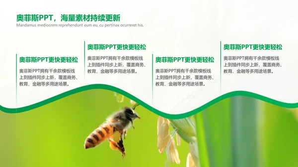 绿色简约风农学专业科研总结