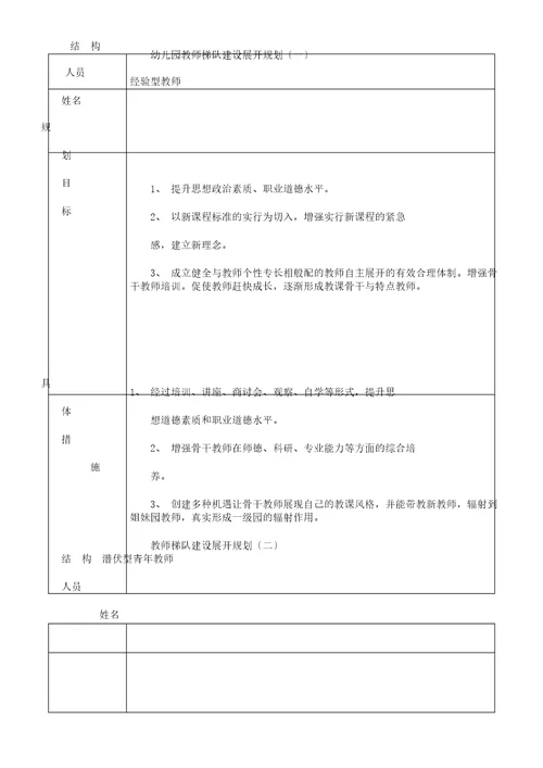 教师梯队建设发展规划表格