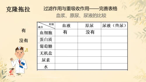 初中生物学人教版（新课程标准）七年级下册4.5 人体内废物的排出课件(共24张PPT)