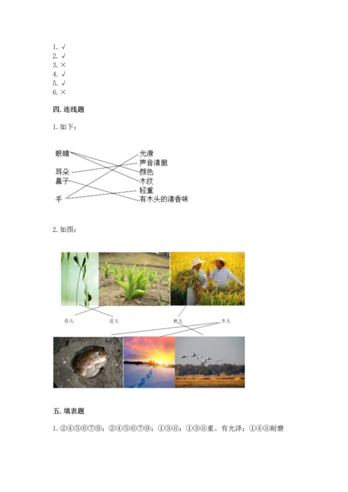 教科版二年级上册科学期末测试卷（满分必刷）.docx
