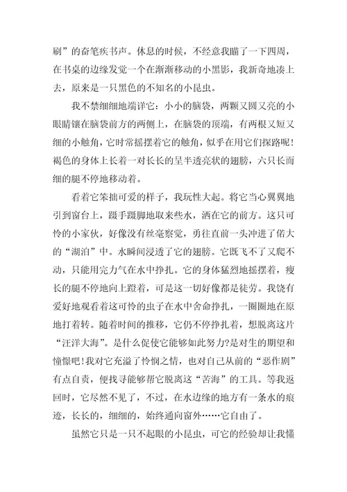 2024年观察日记昆虫600字范文