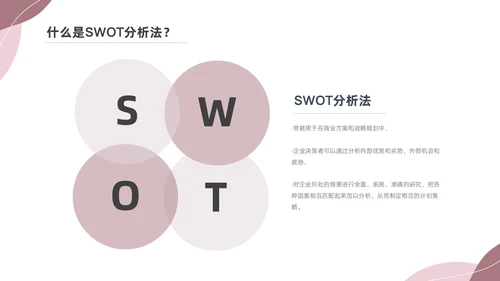 粉色莫兰迪SWOT分析PPT