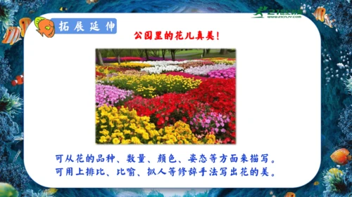 18.富饶的西沙群岛  课件