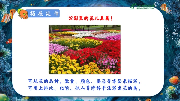 18.富饶的西沙群岛  课件