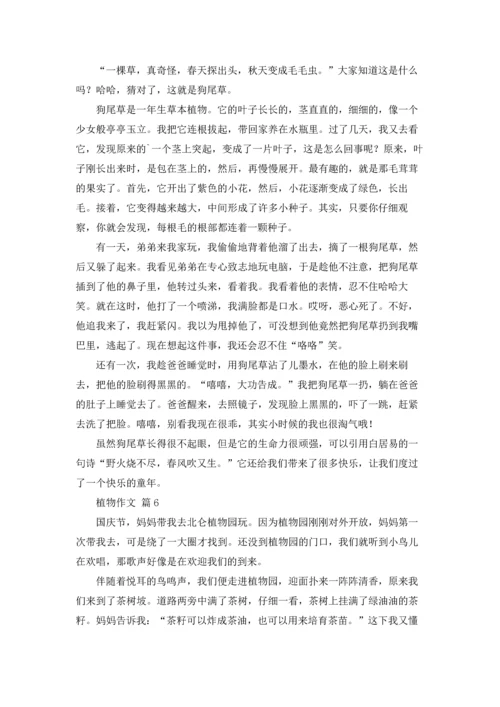 植物作文锦集六篇.docx