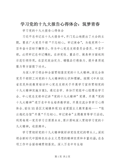 学习党的十九大报告心得体会：筑梦青春 (2).docx