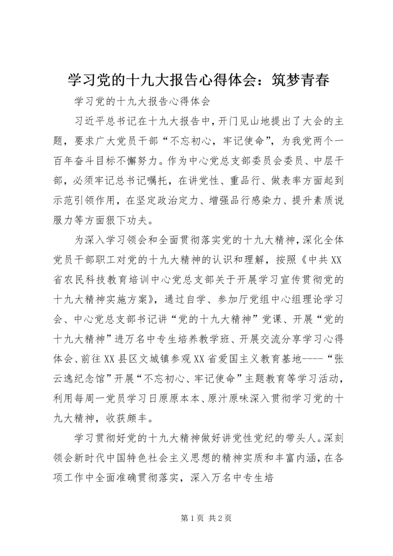 学习党的十九大报告心得体会：筑梦青春 (2).docx