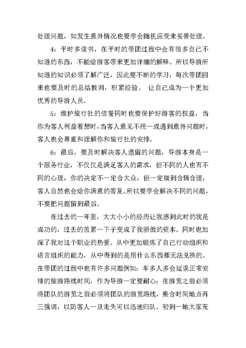 新导游年终个人工作总结模板XX