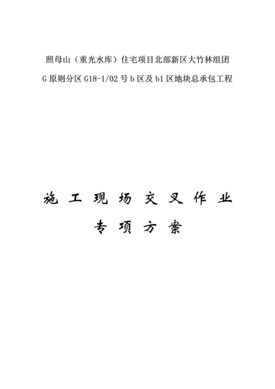 交叉作业专项专题方案.docx