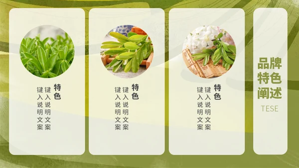 茶叶茶庄春茶产品上新介绍手册通用PPT模板