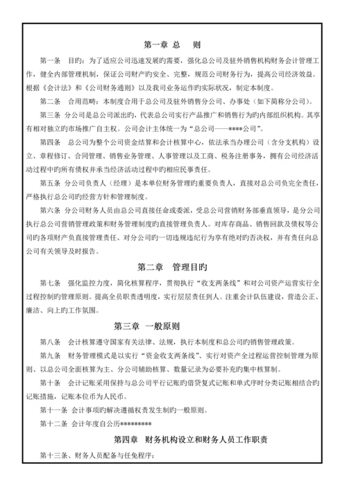 分公司财务管理新版制度.docx