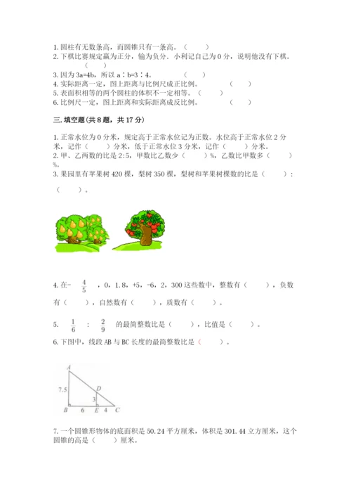 邢台市平乡县六年级下册数学期末测试卷参考答案.docx
