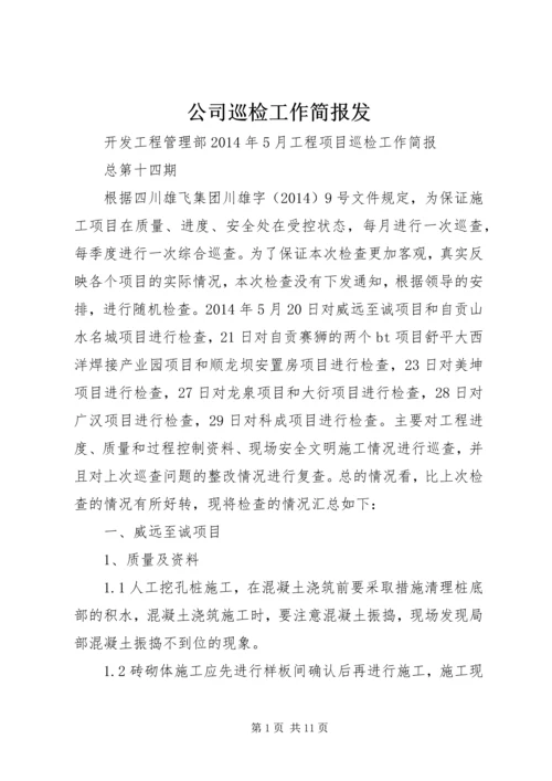 公司巡检工作简报发 (2).docx