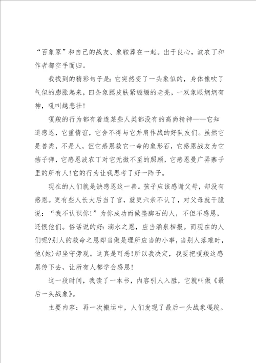 最后一头战象读后感小学作文500字