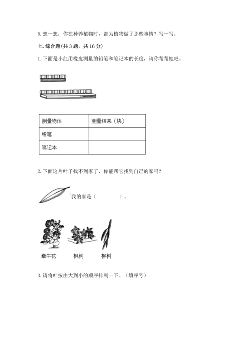 教科版一年级上册科学期末测试卷及答案（全优）.docx