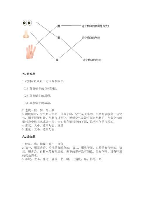 教科版一年级下册科学期末测试卷精品【含答案】.docx