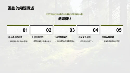 林业生态改进回顾与展望