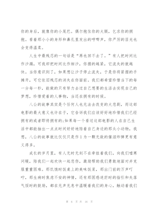 忠犬八公观影心得10篇.docx