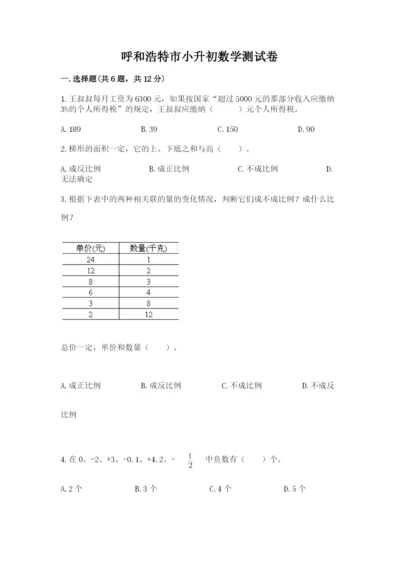 呼和浩特市小升初数学测试卷完美版.docx