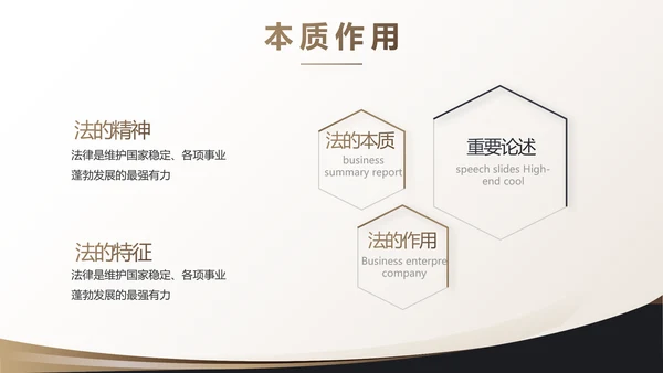 治法宪法政府法律年终工作总结汇报动态PPT