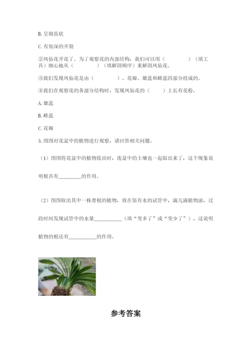 教科版四年级下册科学第一单元《植物的生长变化》测试卷精品【夺冠】.docx