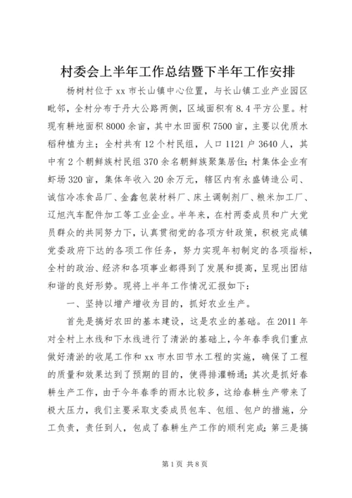 村委会上半年工作总结暨下半年工作安排.docx