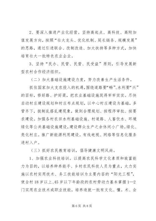 村工作计划及思路.docx