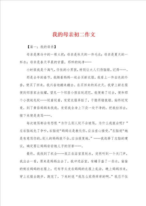 我的母亲初二作文