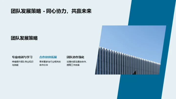 律师年度工作综述