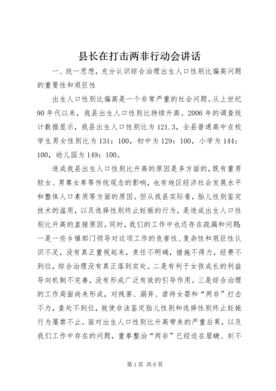 县长在打击两非行动会讲话.docx