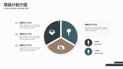 几何风格商业项目计划书通用PPT简报
