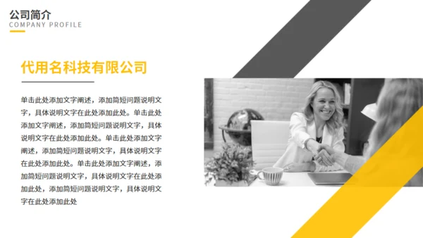 个性欧美风招商引资公司介绍通用PPT模板