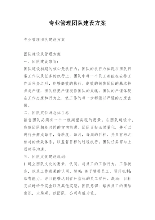 专业管理团队建设方案.docx