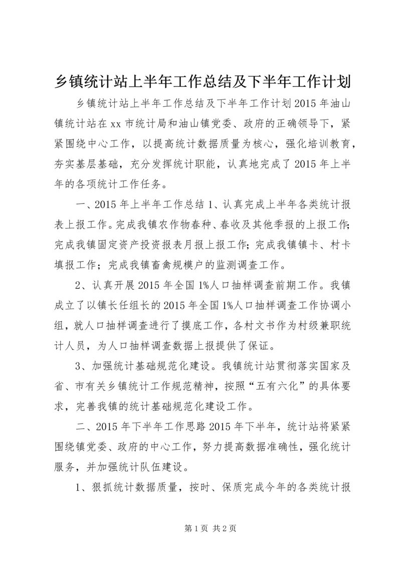 乡镇统计站上半年工作总结及下半年工作计划.docx