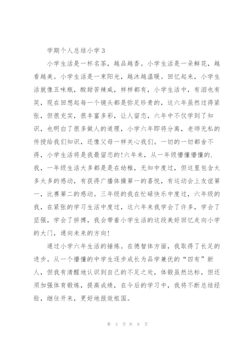 学期个人总结小学5篇.docx