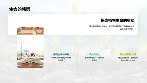 植物生长的秘密